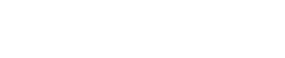 karlshochschule_Logo_white